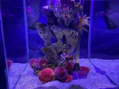 -太平洋海底世界