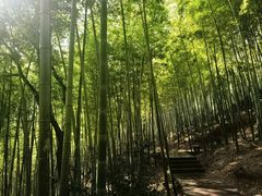 -上海佘山世茂艾美酒店