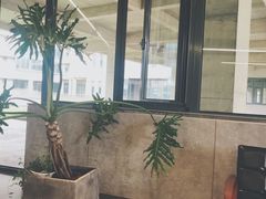 -山下C5cafe(惠通时代广场店)