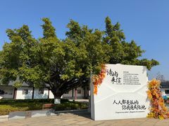 -江心屿景区