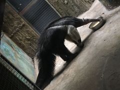 -北京动物园