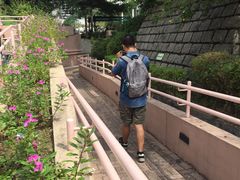 -九龙公园