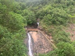 -广州白江湖森林公园