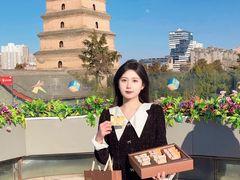 -陕拾叁-西安糕点(大雁塔店)