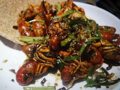 -西街夜油条·麻团包乌饭