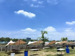 -栖露营camping·天幕烧烤·团建拓展·采摘营地
