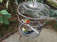 -南宫五洲植物乐园