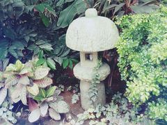 -南宫温泉水世界