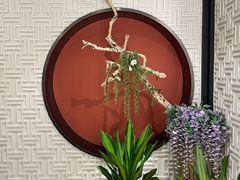 -圆苑(金茂店)