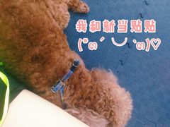 -FIGHTMAN格斗俱乐部(长宁临空店)