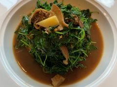 蚌肉金花菜-洋洋中餐馆·SINCE 1997(信投店)