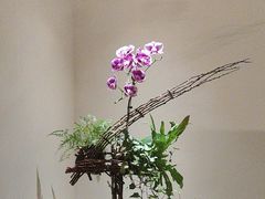 -翁暖茶馆(滨江东总店)