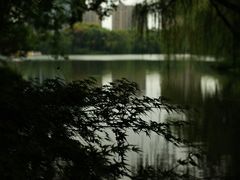 -杭州城北体育公园