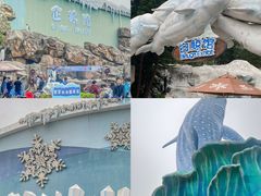 -珠海长隆海洋王国