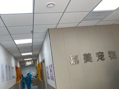 -嘉美宠物医院