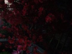 -鹤祥宫·影院足道·SPA连锁(苹果园店)