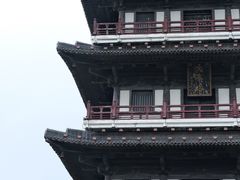 -宜兴龙背山森林公园