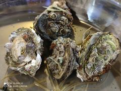 -崖口红树林海鲜餐厅