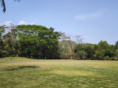 -中国科学院西双版纳热带植物园