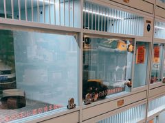 -FAELING PETS美天灵宠物(合生汇店)