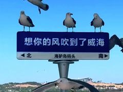 -海驴岛(荣成市)