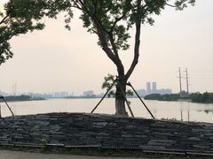 -金银湖国家城市湿地公园
