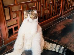 -1号足道推拿会馆