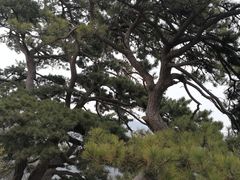 -妙峰山风景名胜区
