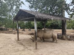 -西安秦岭野生动物园