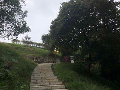 -黄埔油麻山森林公园