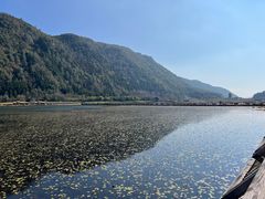 -腾冲北海湿地