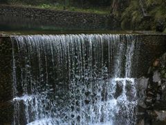 -大奇山国家森林公园
