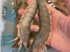 -钱山海鲜大排档