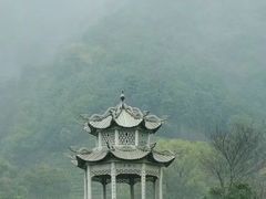 -都江堰玫瑰花溪谷