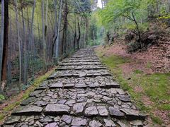 -仙霞关景区