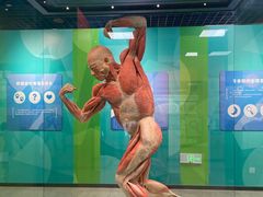 -国家自然博物馆