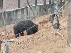 -泉州海丝野生动物世界