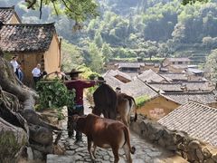 -杨家堂村