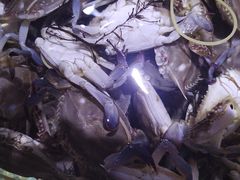 -聚盛源蒸汽海鲜火锅烤肉自助(巨川金海岸购物广场店)