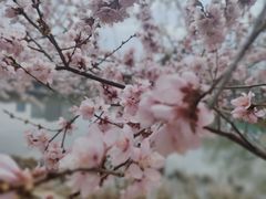 -青城公园