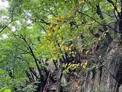 -吉林市朱雀山国家森林公园