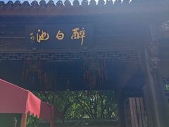 -上海醉白池公园