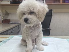 -动物缘宠物医院·骨科·猫科(西二环店)