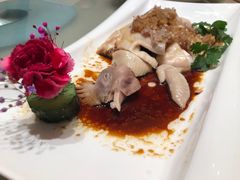 -宝园酒家(美林M·LIVE天地东座店)
