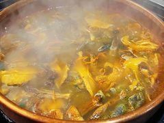 -阿山卓·野生菌火锅·纳西火塘烤肉