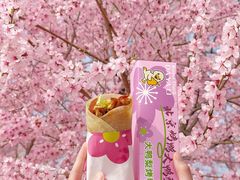 -大鸭梨烤鸭(望京店)