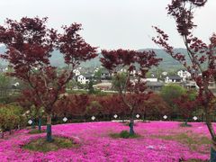 -石塘人家