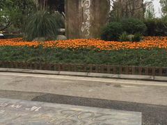 -白鹭湾湿地公园