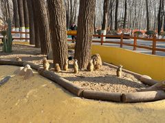 -北京野生动物园