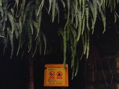 -新都巷步道